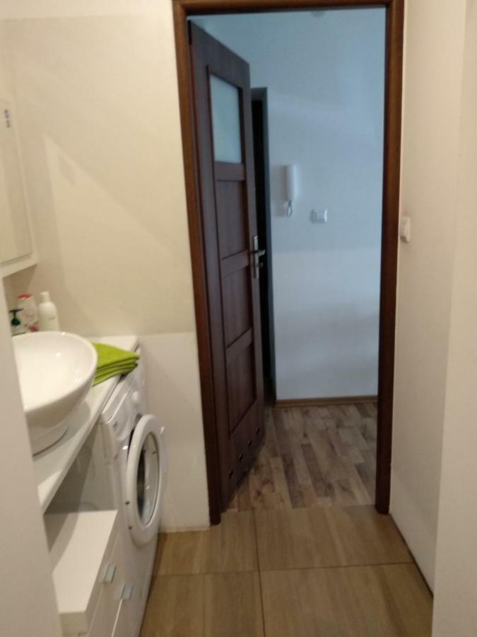 Studio Wiola Maly Udaly Apartman Katowice Kültér fotó